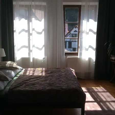 アパート Dlouha 93 *